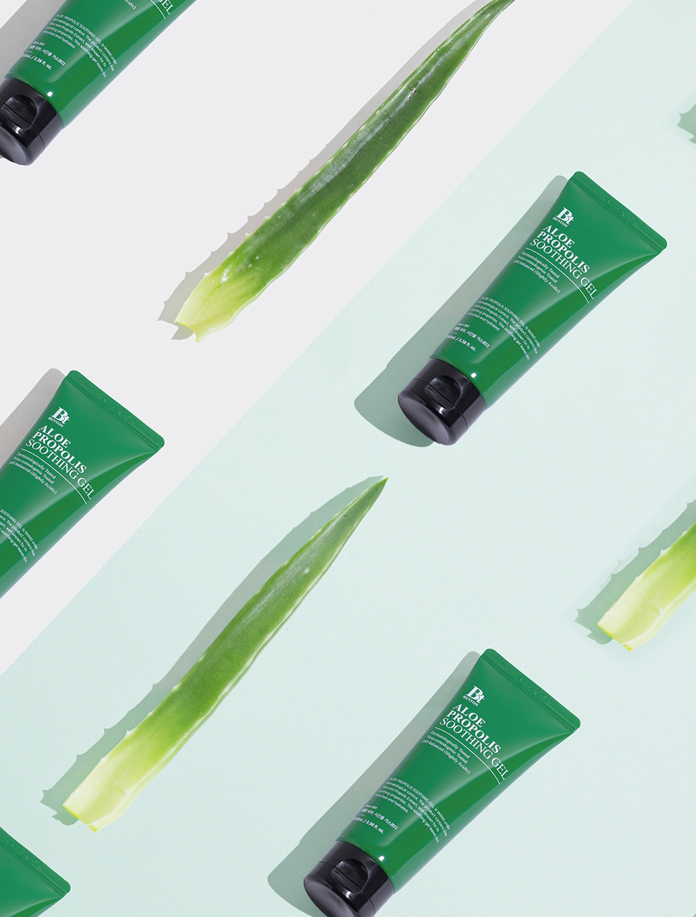 aloe artista 4