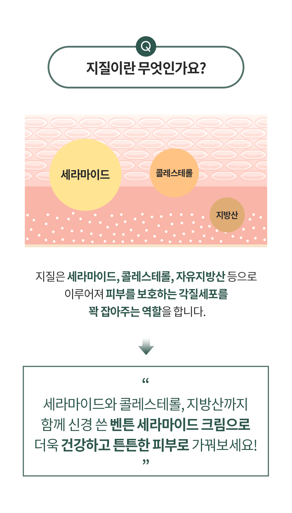 모션